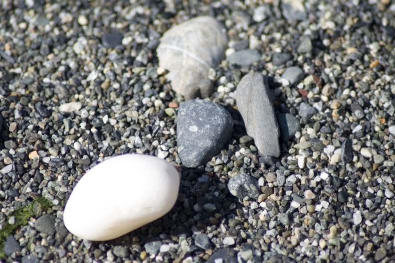 313-1753 Pebbles on Beach.jpg
